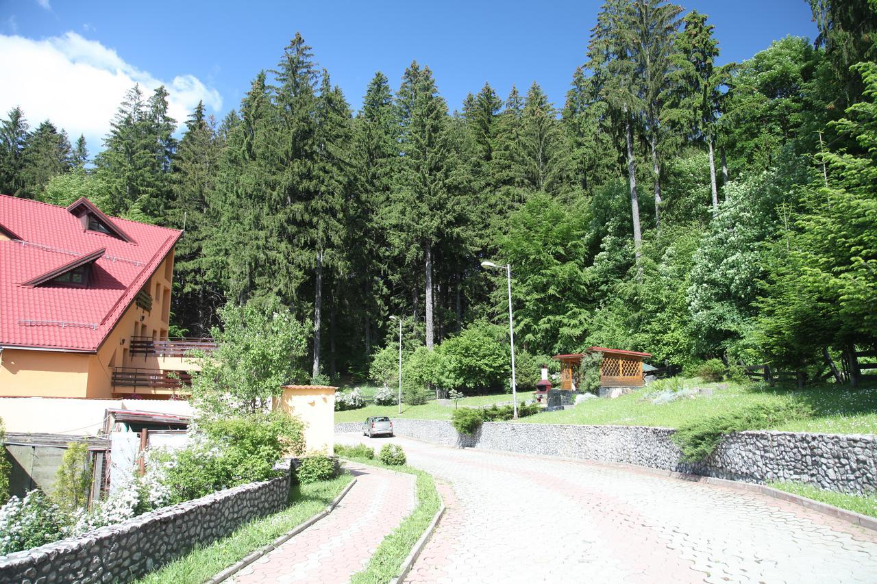 Pensiunea Mihaela Poiana Brasov Luaran gambar